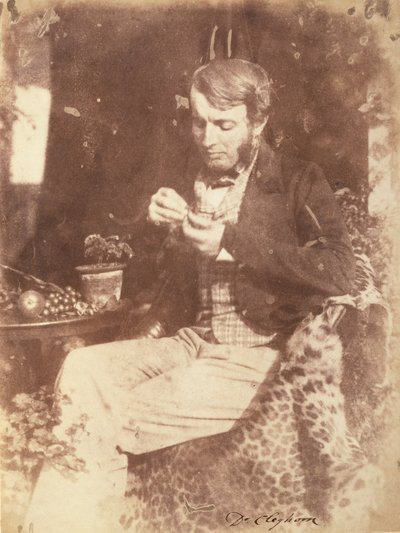 Neznámý výrobce, Brit - Dr. Cleghorn. od Unbekannt Unbekannt